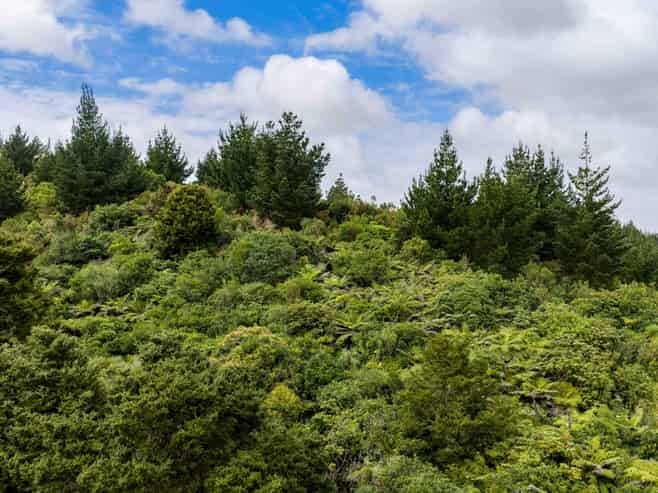 3044 Paparoa-Oakleigh Road, Paparoa, Paparoa