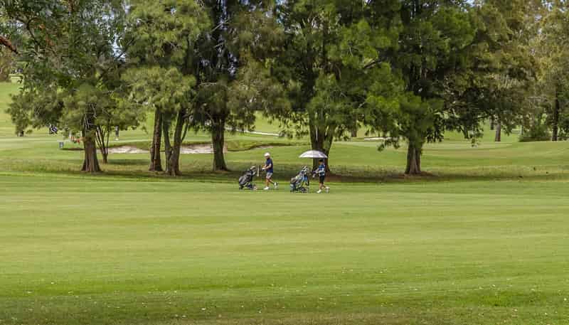 11B Norman Lesser Drive, Saint Johns