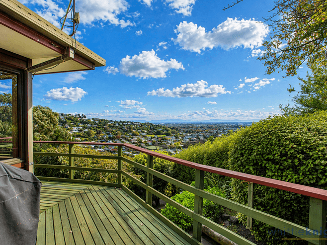 37 Rapaki Road, Hillsborough