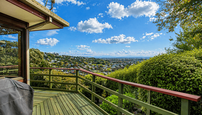 37 Rapaki Road, Hillsborough