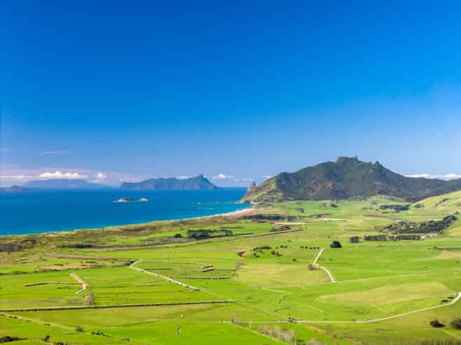 65 Rarangi Heights, Parua Bay