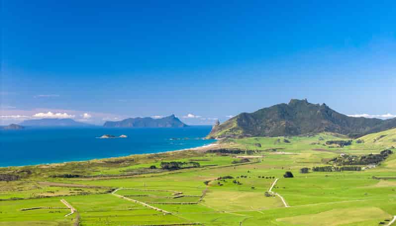 65 Rarangi Heights, Parua Bay