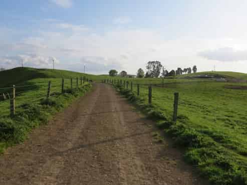 356 Whatauri Road, Wharepapa South