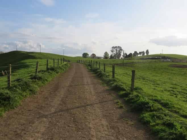 356 Whatauri Road, Wharepapa South
