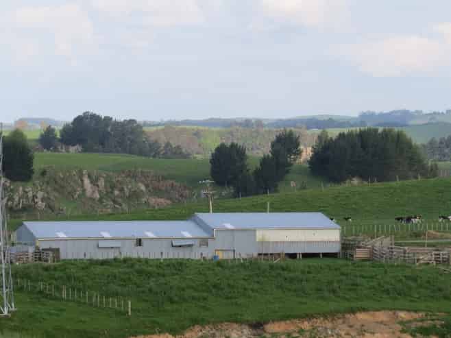 356 Whatauri Road, Wharepapa South