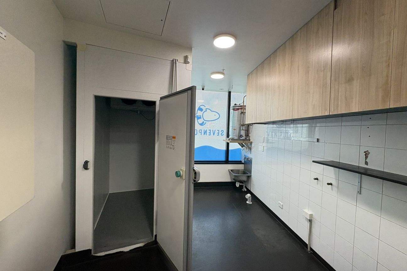 CBD F&B – ready to go! - Ansicht 6