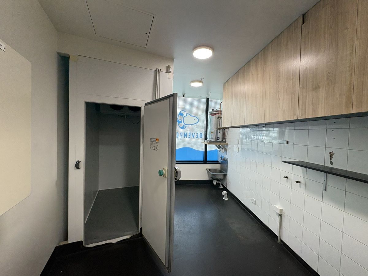 CBD F&B – ready to go! – pohled 6