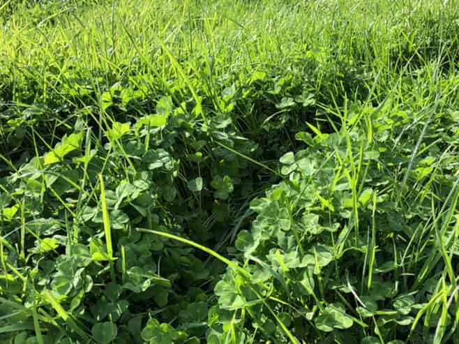  Millars Road, Carterton