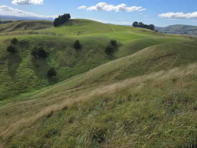  Millars Road, Carterton