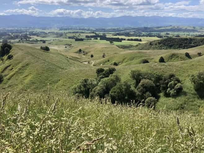  Millars Road, Carterton