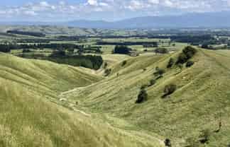  Millars Road, Carterton