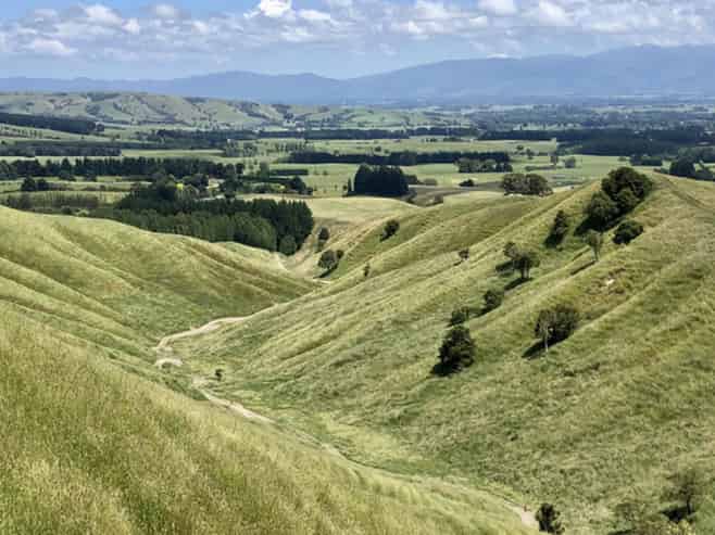  Millars Road, Carterton