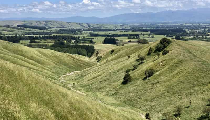  Millars Road, Carterton