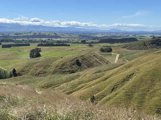  Millars Road, Carterton