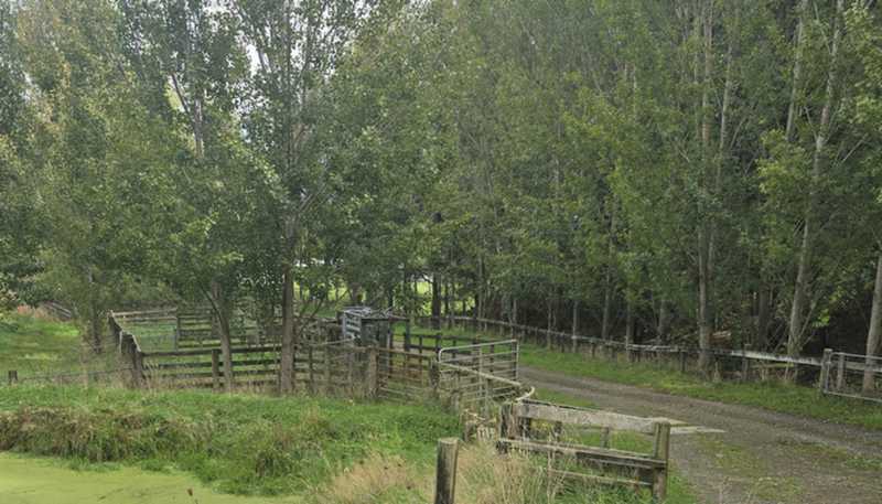  Millars Road, Carterton