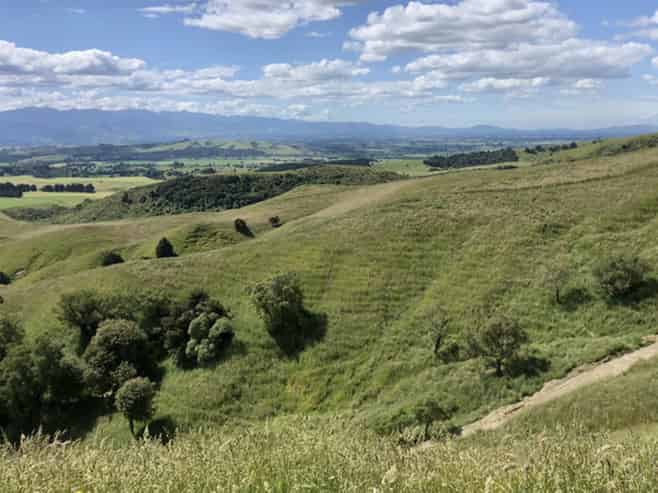  Millars Road, Carterton