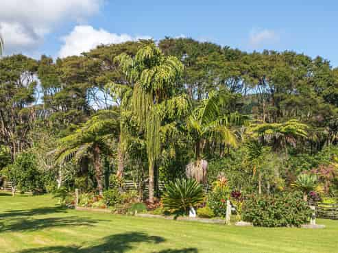 127A  The 309 Road, Coromandel