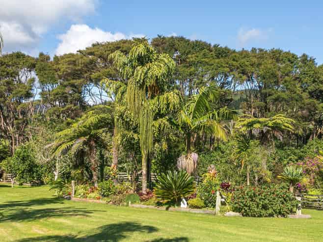 127A  The 309 Road, Coromandel