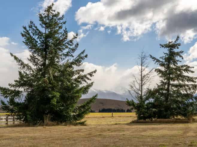 88 The Drive, TWIZEL