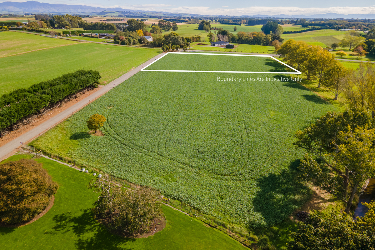 Buy the Land. Decide the Future - Widok 3