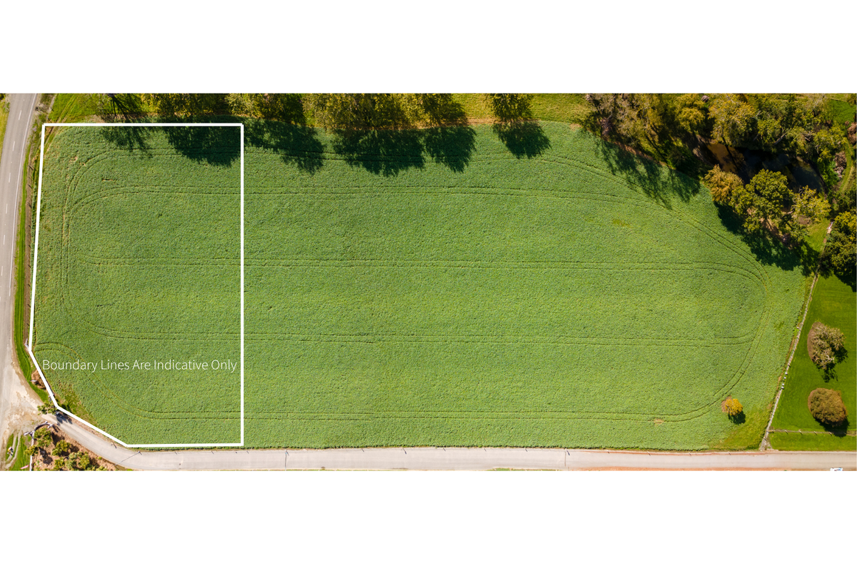 Buy the Land. Decide the Future - Widok 5