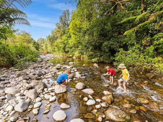 236 Hot Springs Road, Katikati
