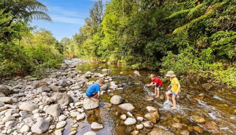 236 Hot Springs Road, Katikati