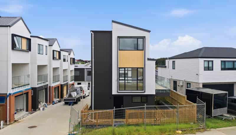 53 Hermitage Street, Flat Bush