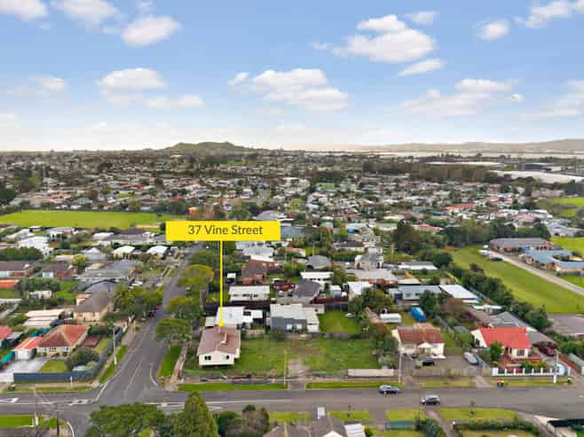 37 Vine Street, Mangere East