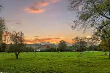 584 Orari Station Road, Geraldine