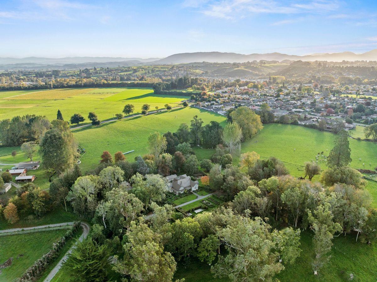 Landmark Homestead With Substantial Landbank, Geraldine