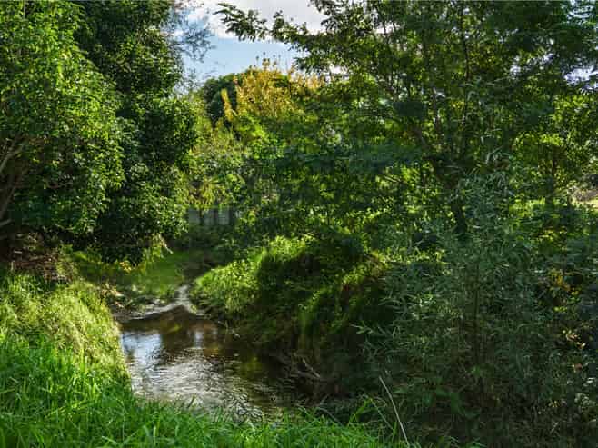 17 Charteris Rise, Riverdale