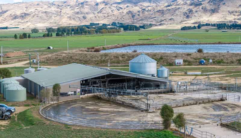 263 Puketoi Runs Road, Puketoi