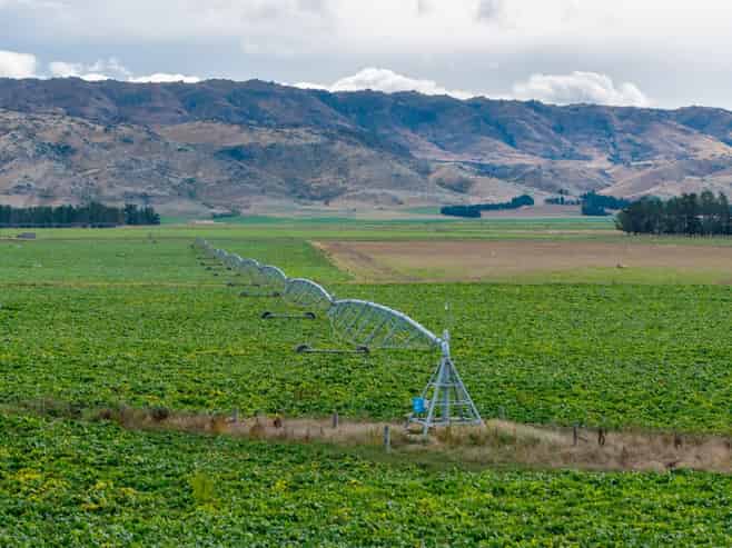 263 Puketoi Runs Road, Puketoi