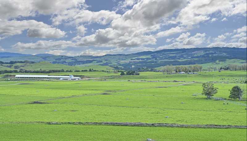 500 Willowford Road, Waiwhare