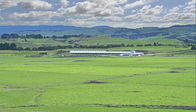 500 Willowford Road, Waiwhare