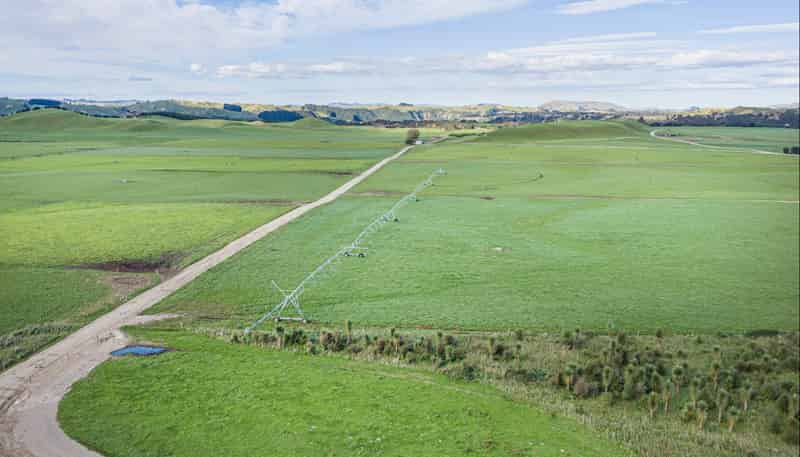 500 Willowford Road, Waiwhare