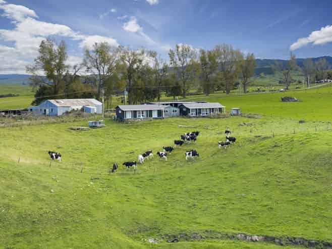 500 Willowford Road, Waiwhare