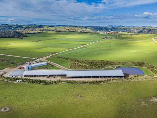500 Willowford Road, Waiwhare