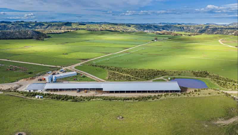 500 Willowford Road, Waiwhare