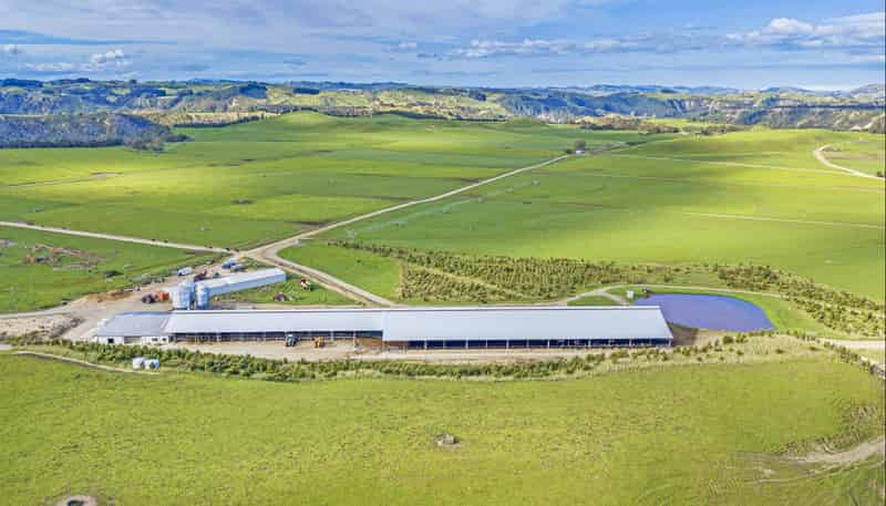 500 Willowford Road, Waiwhare