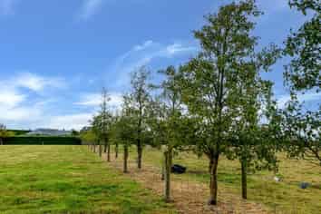 94 Windsor Drive, Kirwee