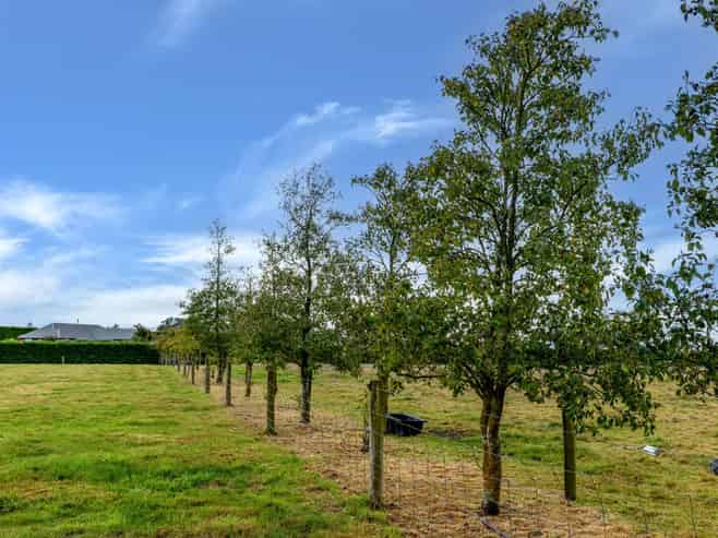 94 Windsor Drive, Kirwee