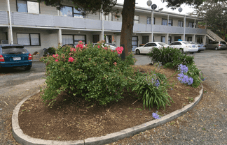 10/9 Trent Place  , Fenton Park