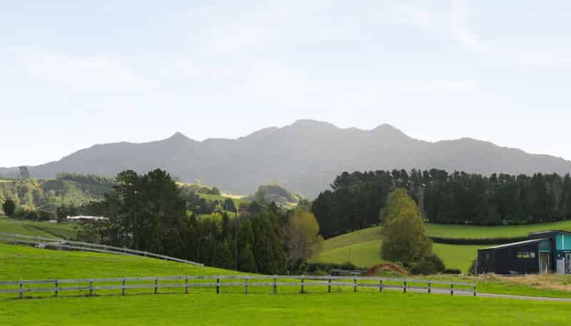 47 Taraire Road, Pirongia