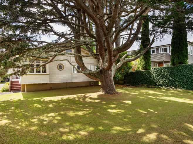 54 Lloyd Avenue, Mount Albert