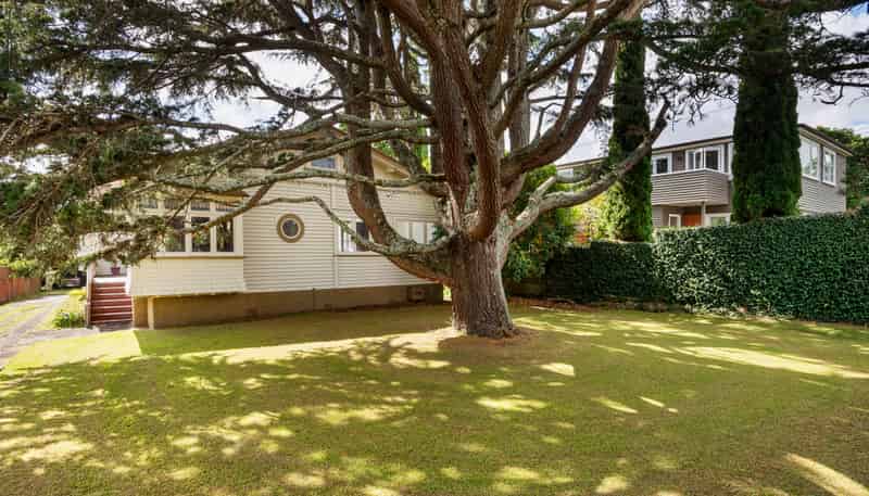 54 Lloyd Avenue, Mount Albert