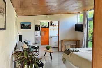 19 Old Mill Road, Grey Lynn