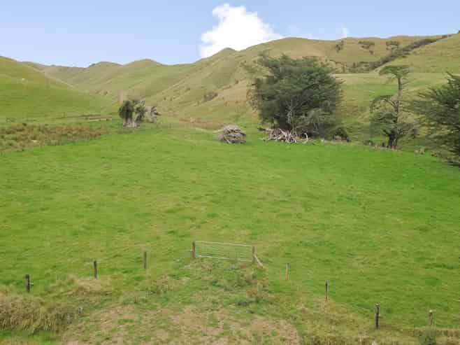 420 Mangaoranga Road, Eketahuna