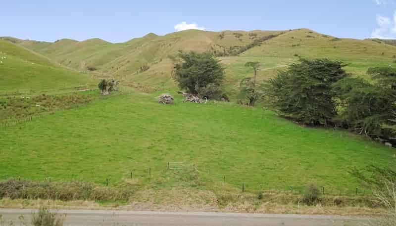 420 Mangaoranga Road, Eketahuna